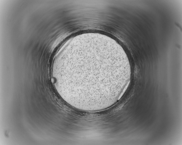 X0000102470877200808291602