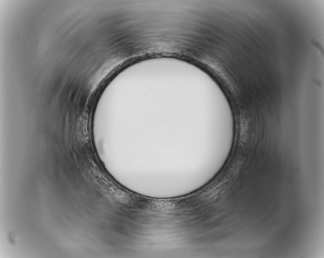 X0000102470878200808291602