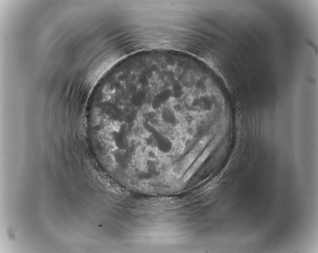 X0000102470879200808291602