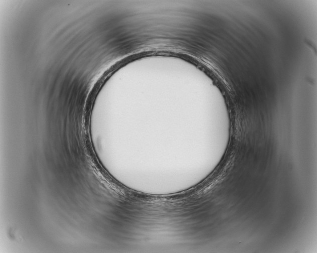 X0000102470880200808291602
