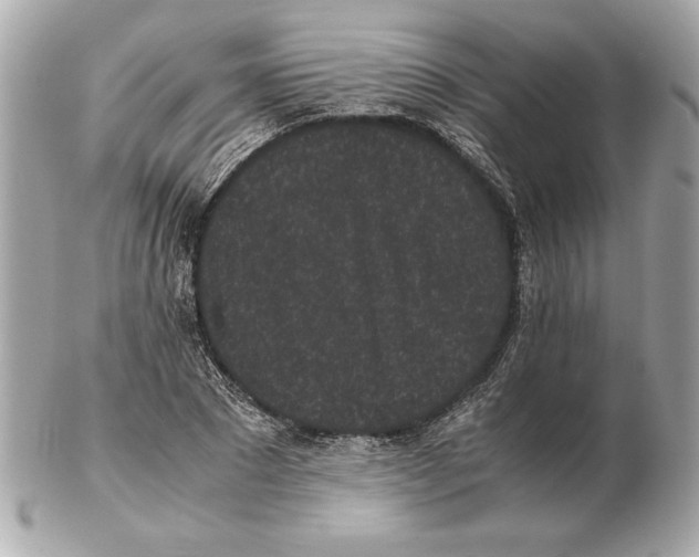X0000102470881200808291602