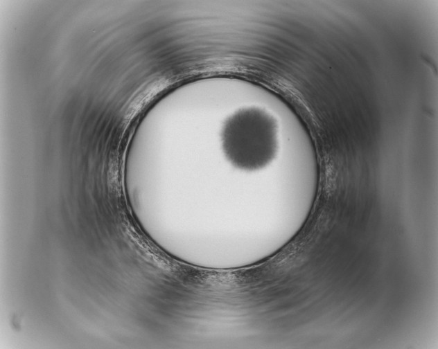 X0000102470882200808291602