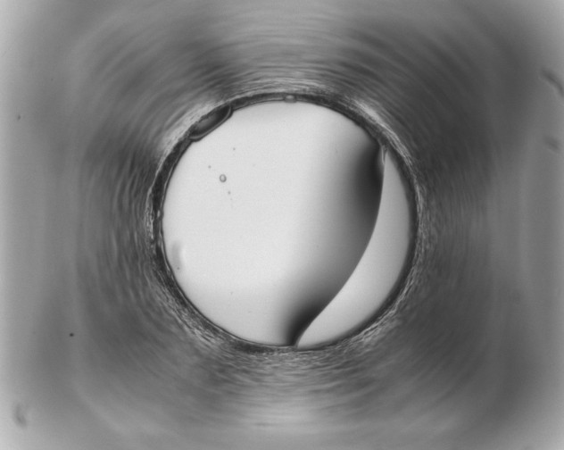 X0000102470883200808291602