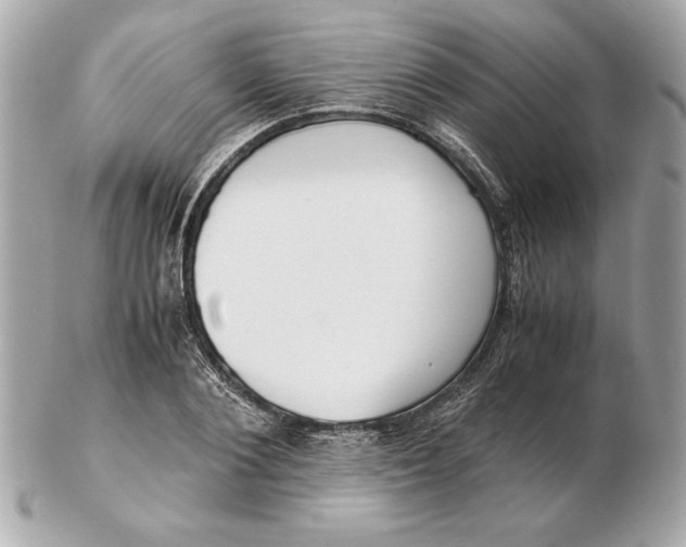 X0000102470884200808291602
