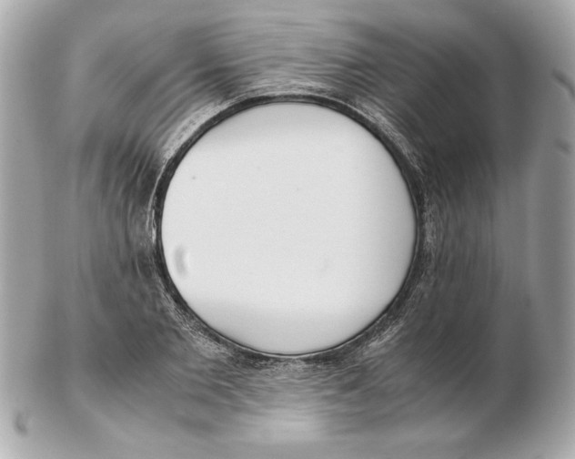 X0000102470885200808291602