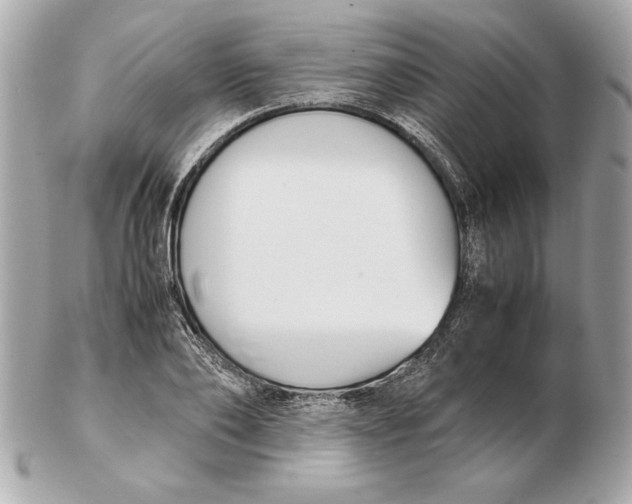 X0000102470886200808291602