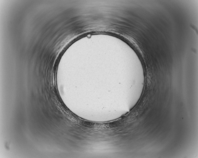 X0000102470887200808291602