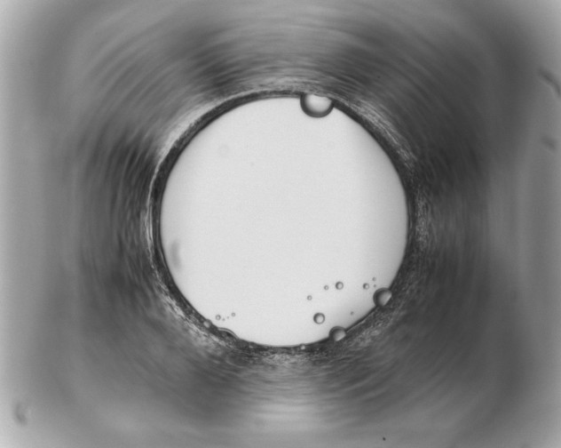 X0000102470888200808291602