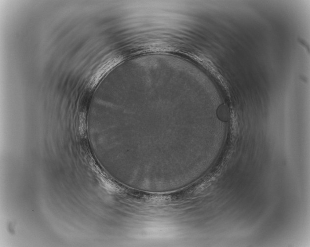 X0000102470889200808291602
