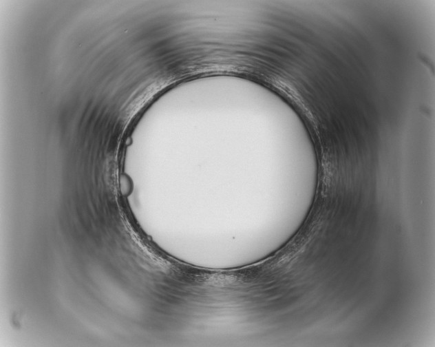 X0000102470890200808291602