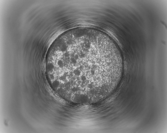 X0000102470891200808291602