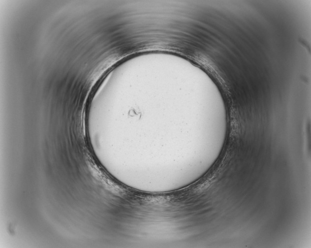 X0000102470892200808291602