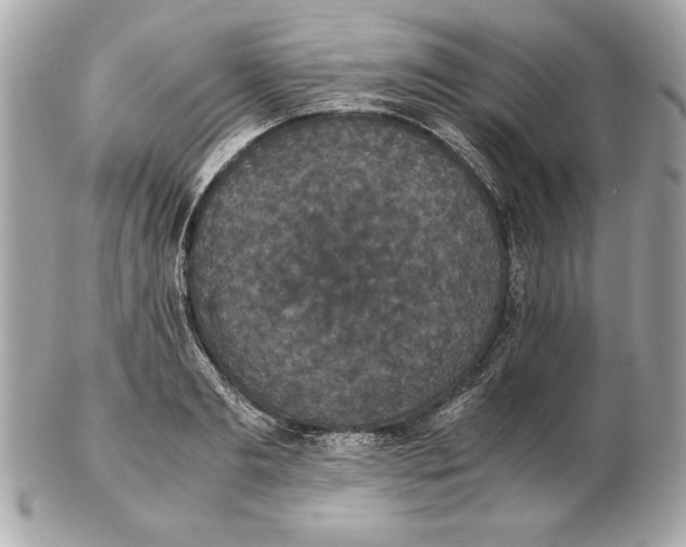 X0000102470893200808291602