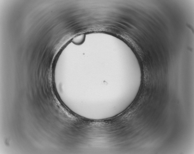 X0000102470894200808291602