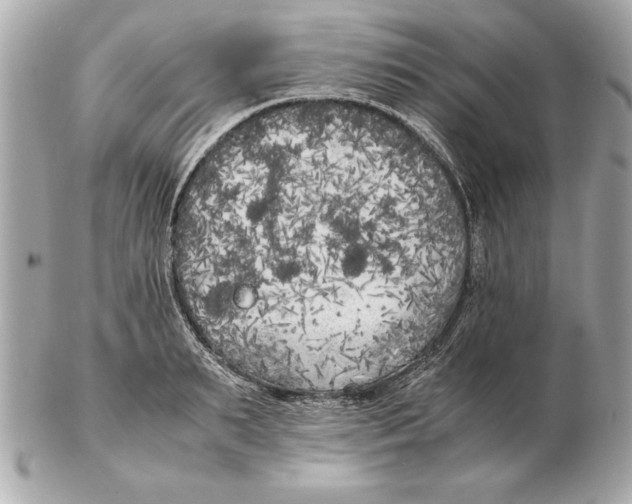 X0000102470895200808291602