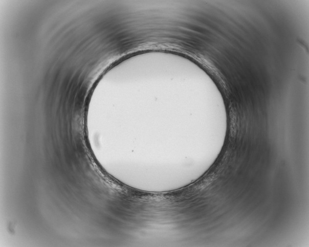 X0000102470896200808291602