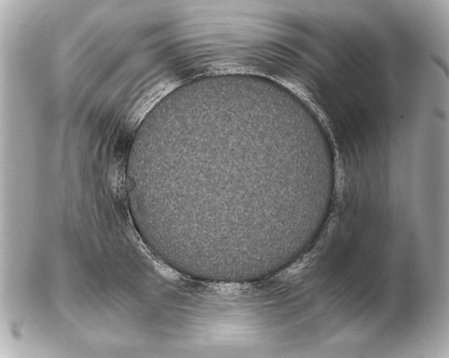 X0000102470897200808291601