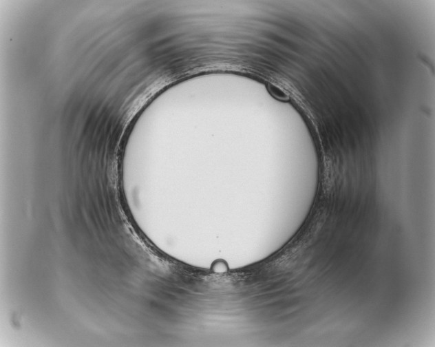 X0000102470898200808291601