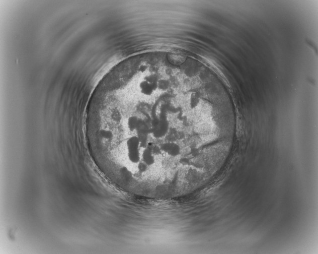 X0000102470899200808291601