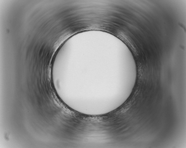 X0000102470900200808291601