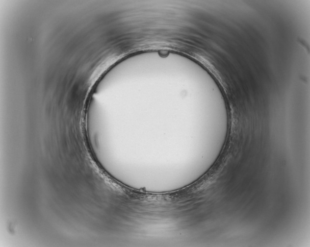 X0000102470901200808291601