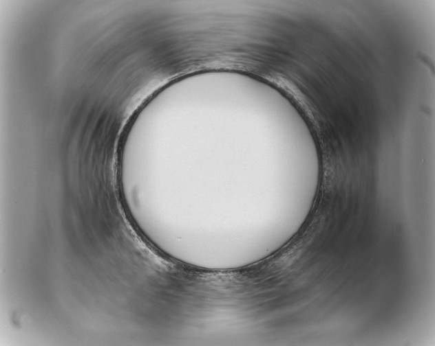 X0000102470902200808291601