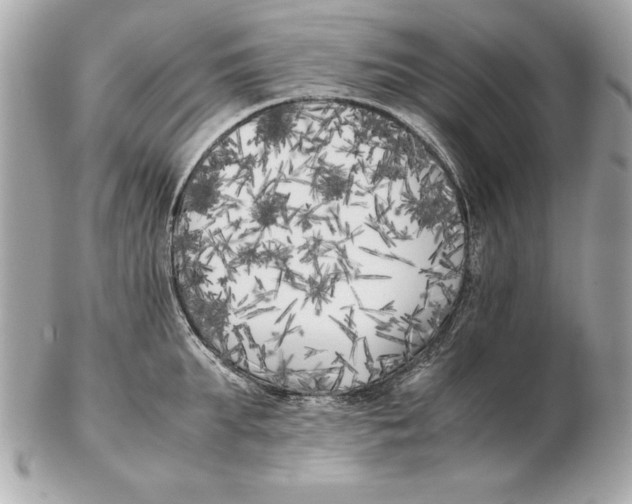 X0000102470903200808291601