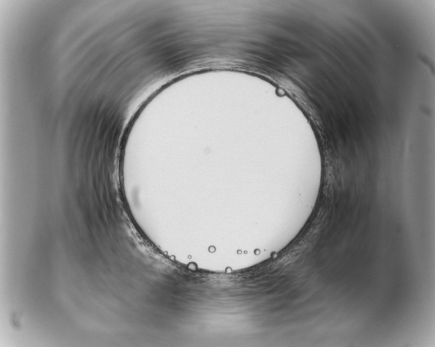 X0000102470904200808291601