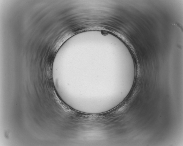 X0000102470905200808291601