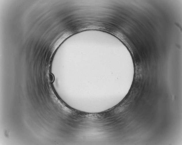 X0000102470906200808291601