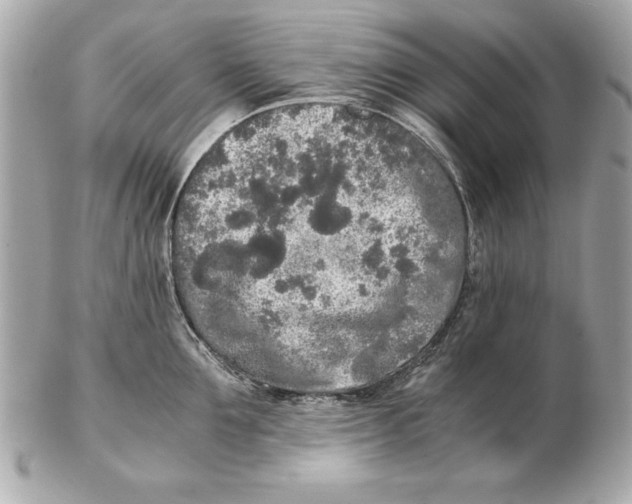 X0000102470907200808291601