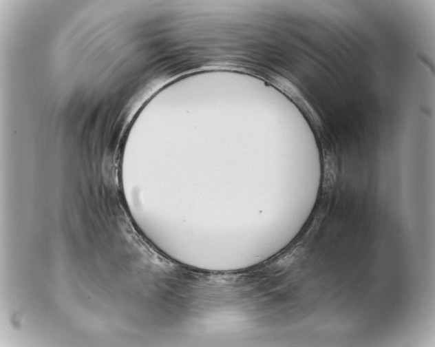 X0000102470908200808291601