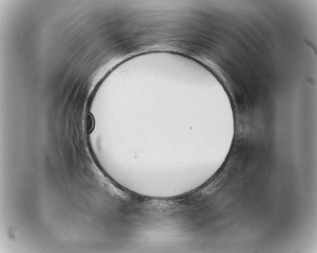 X0000102470910200808291601