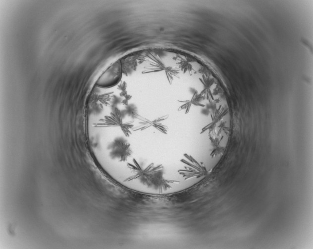 X0000102470911200808291601