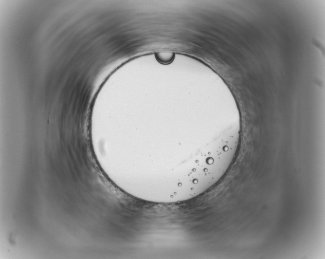 X0000102470912200808291601
