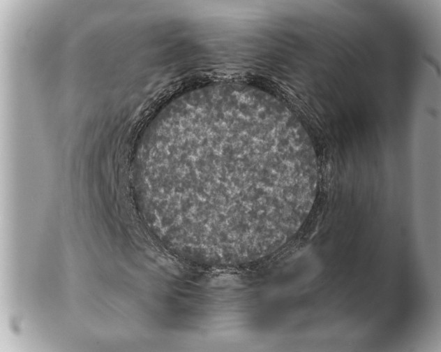 X0000102470913200808291601