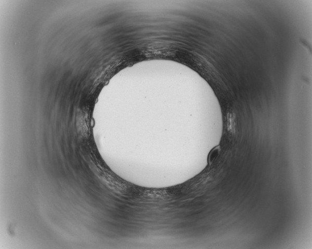 X0000102470915200808291601