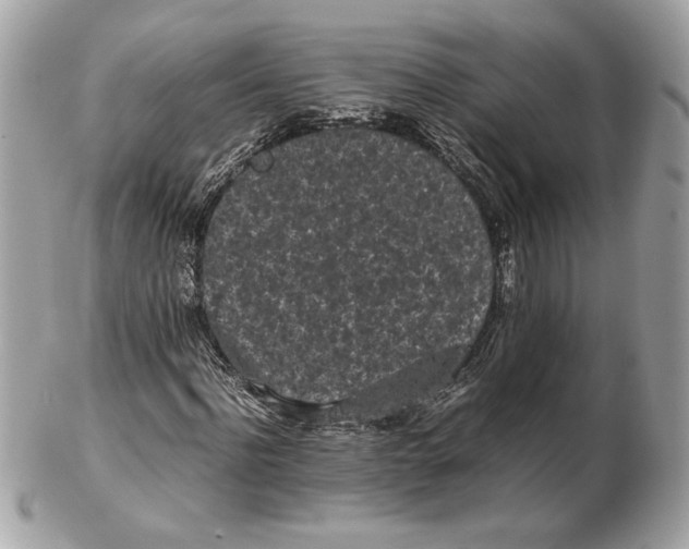 X0000102470916200808291601