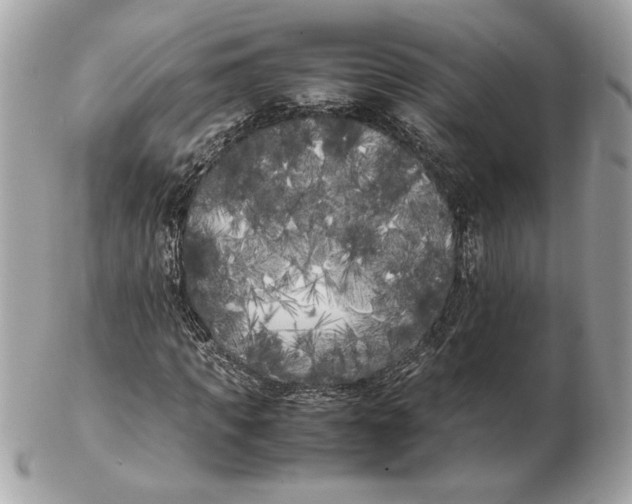 X0000102470917200808291601
