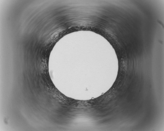X0000102470918200808291601