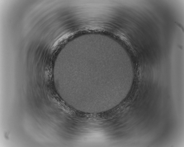 X0000102470920200808291601