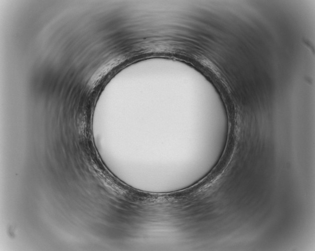 X0000102470922200808291601