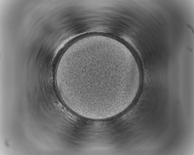 X0000102470923200808291601