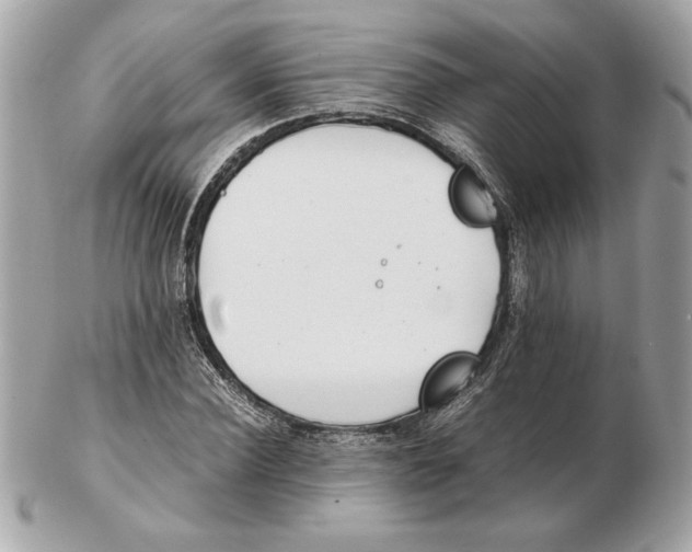 X0000102470924200808291601