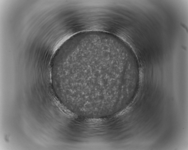 X0000102470925200808291601