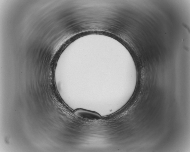 X0000102470926200808291601