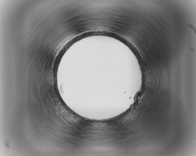 X0000102470927200808291601