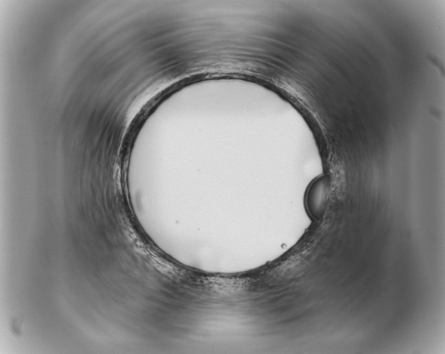 X0000102470928200808291601