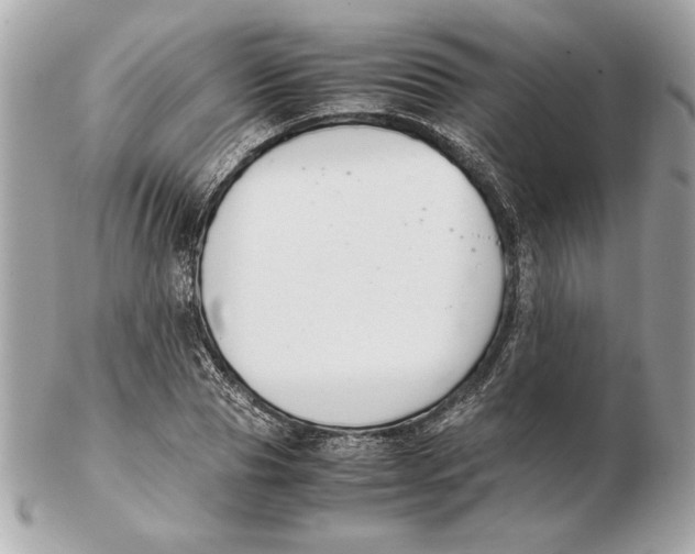 X0000102470929200808291601