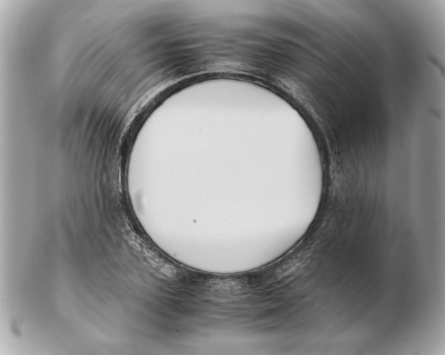 X0000102470931200808291601